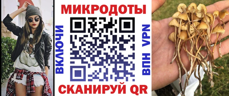 Галлюциногенные грибы ЛСД  купить   omg ONION  нарко площадка как зайти  Сибай 